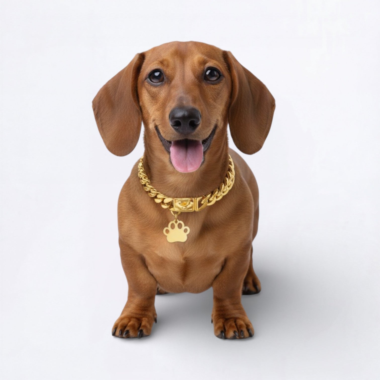 LuxePaw-Dachshund-Cuban-Collar.jpg