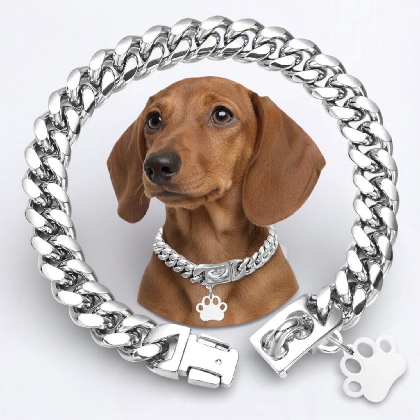 LuxePaw-Dachshund-Cuban-Collar.jpg