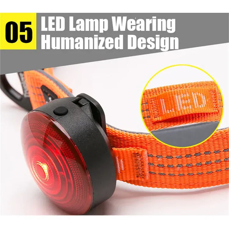 Luxeen-Dachshund-LED-Collar.jpg