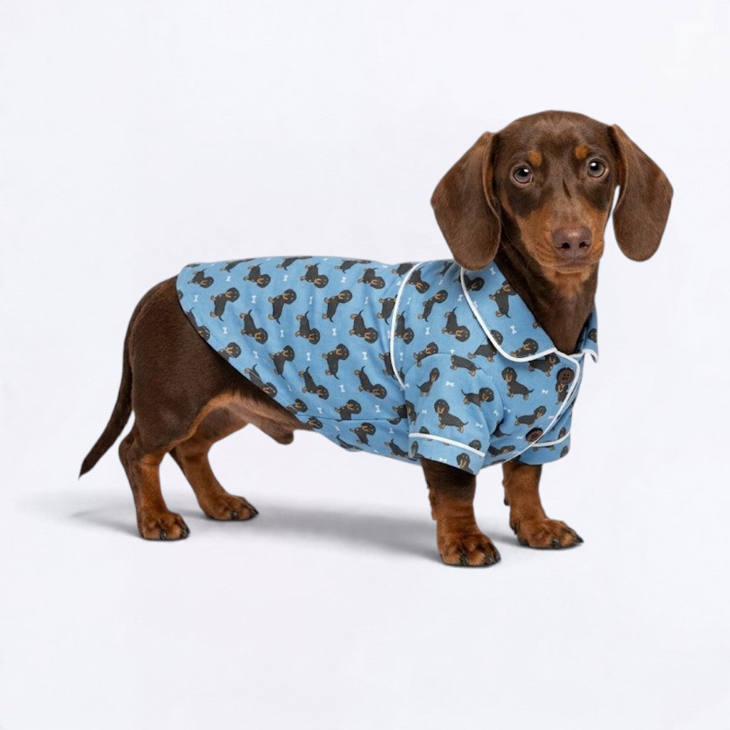 Sunny – Matching Dachshund Pajamas | Soft Satin Pajamas