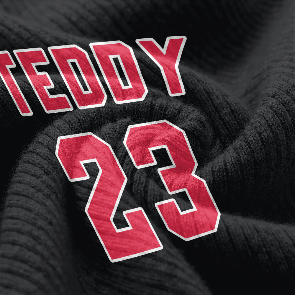 Zander - Personalized Wool Sweater for Doxie