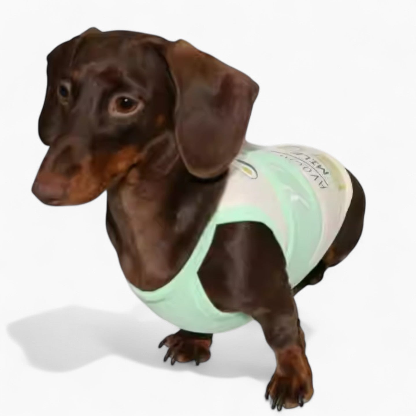MilKish-Dachshund-Summer-Tank-Tops.jpg