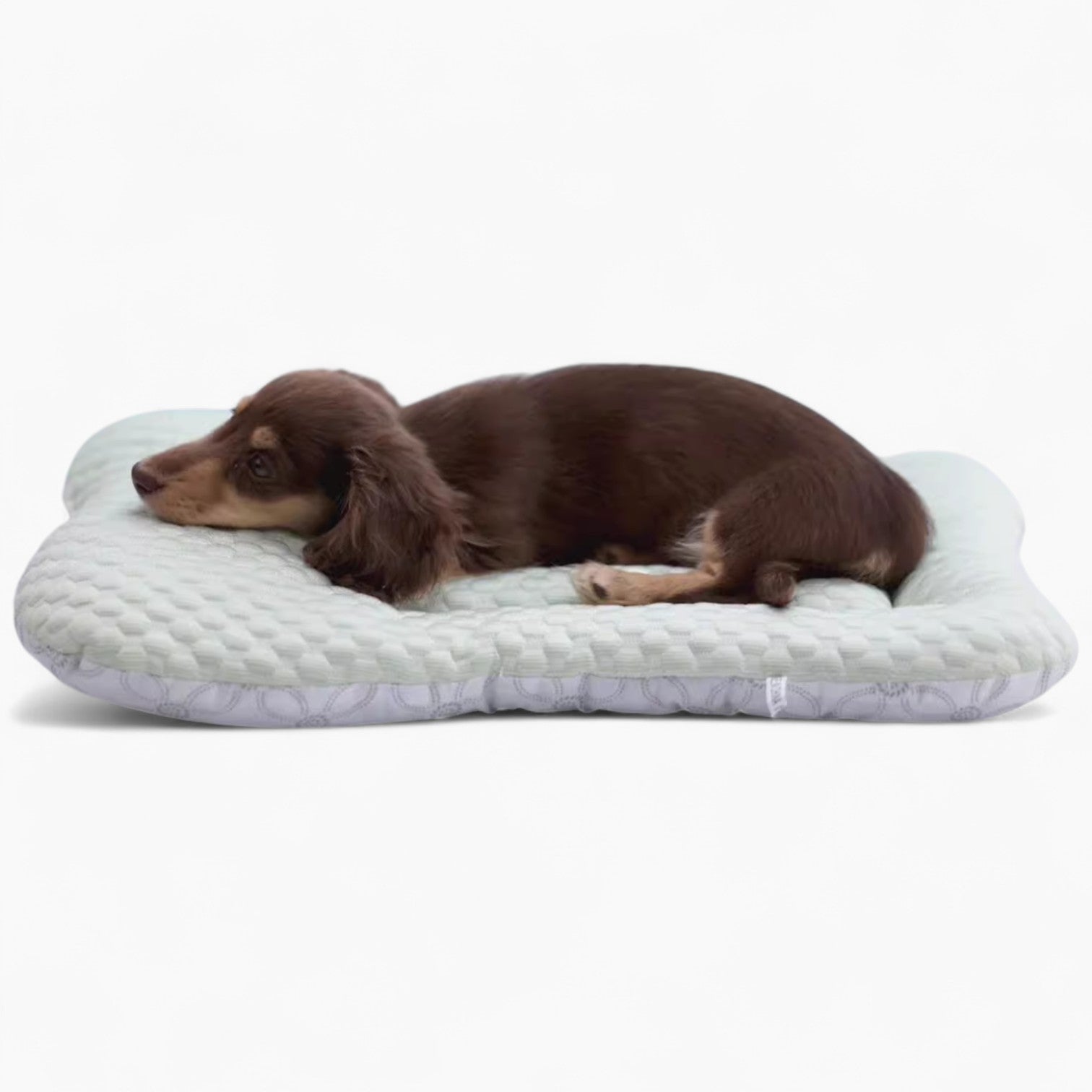 NipDox-Dachshund-Cooling-Pad.jpg