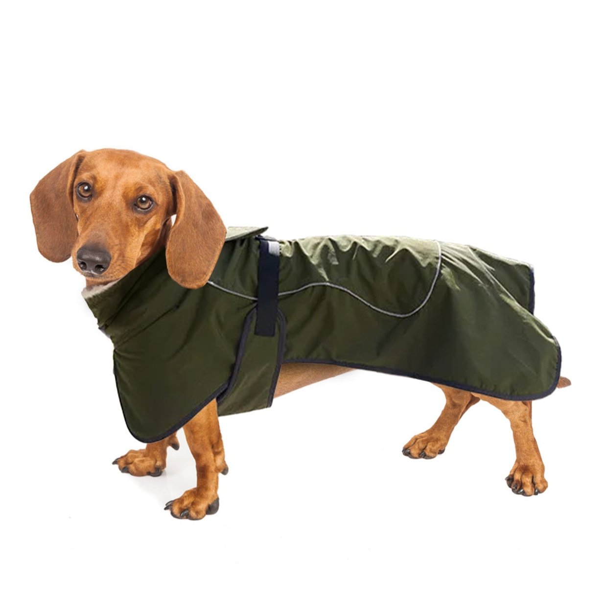 FurVogue Dachshund Warm Jacket Ultimate Snow Protection