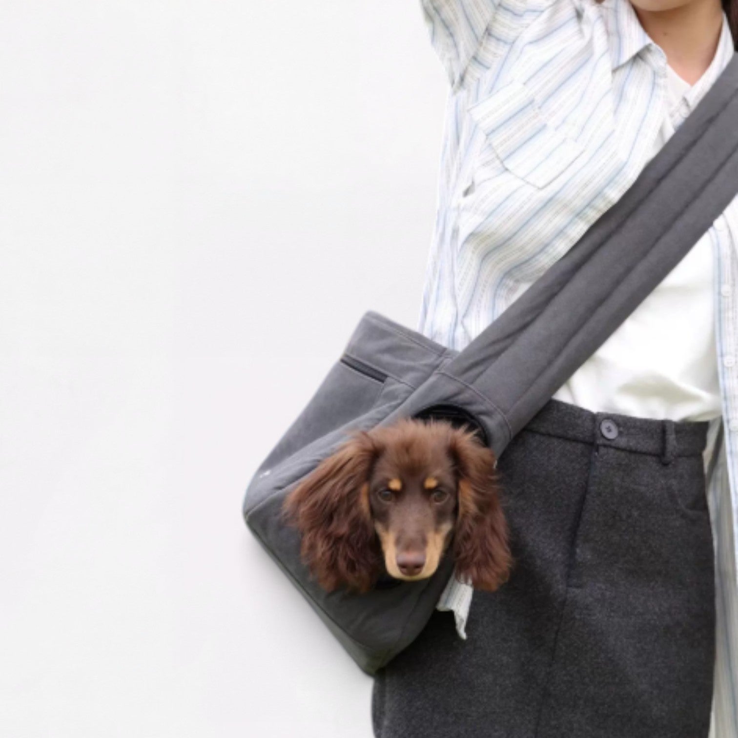 OutNest-Dachshund-Outing-Carrier.jpg