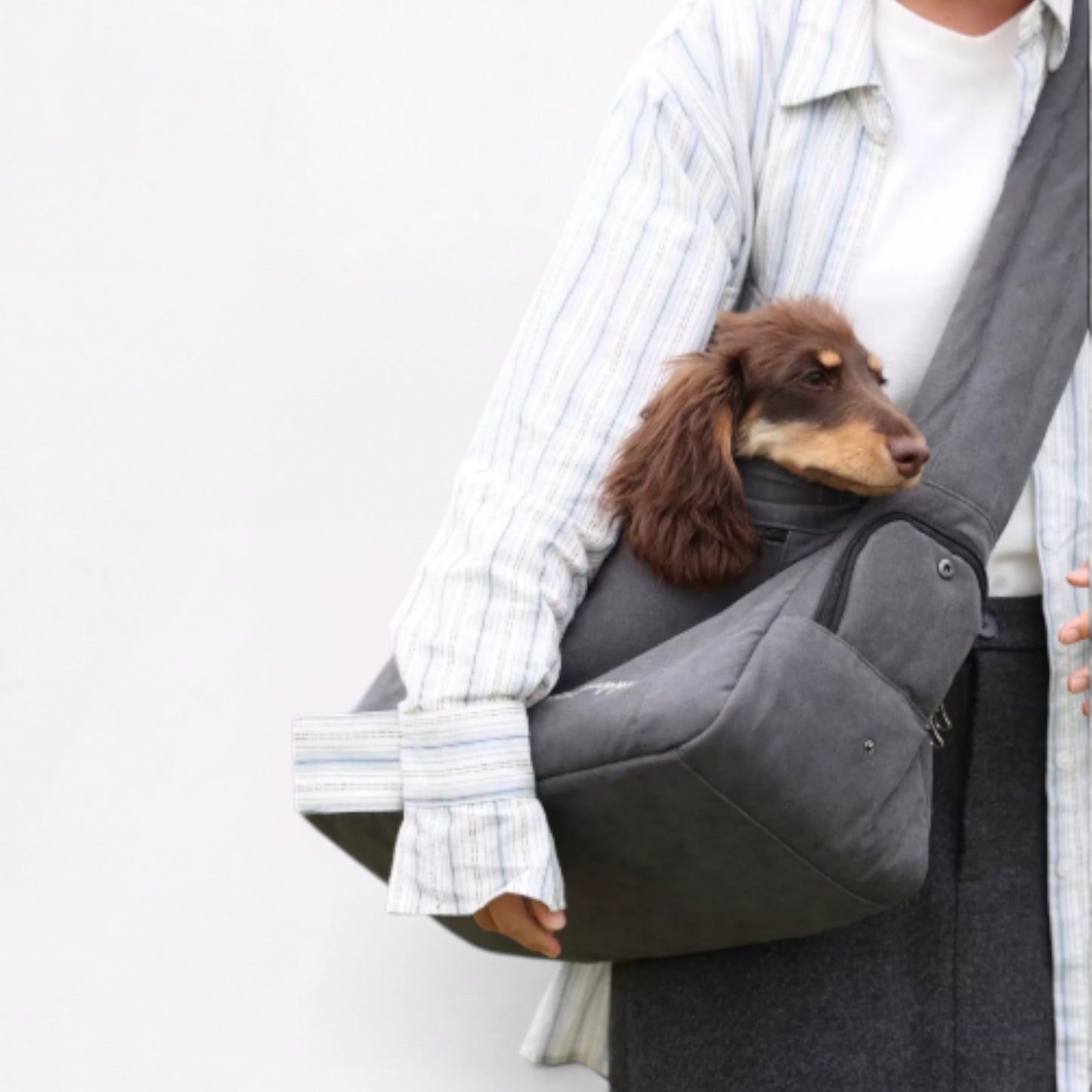 OutNest-Dachshund-Outing-Carrier.jpg