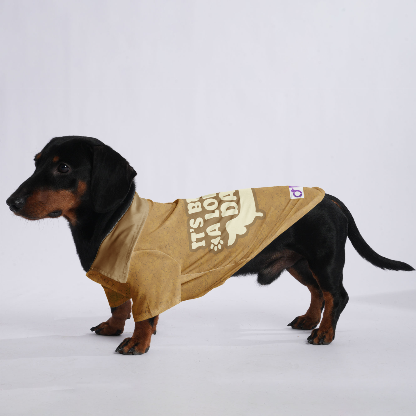 It’s Been A Long Day - Hawaiian Shirt for Doxies