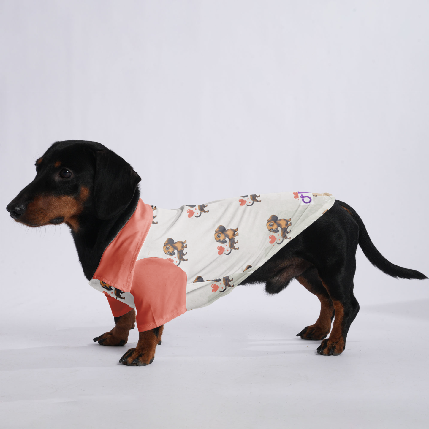 Lotte - Hawaiian Shirt for Doxies