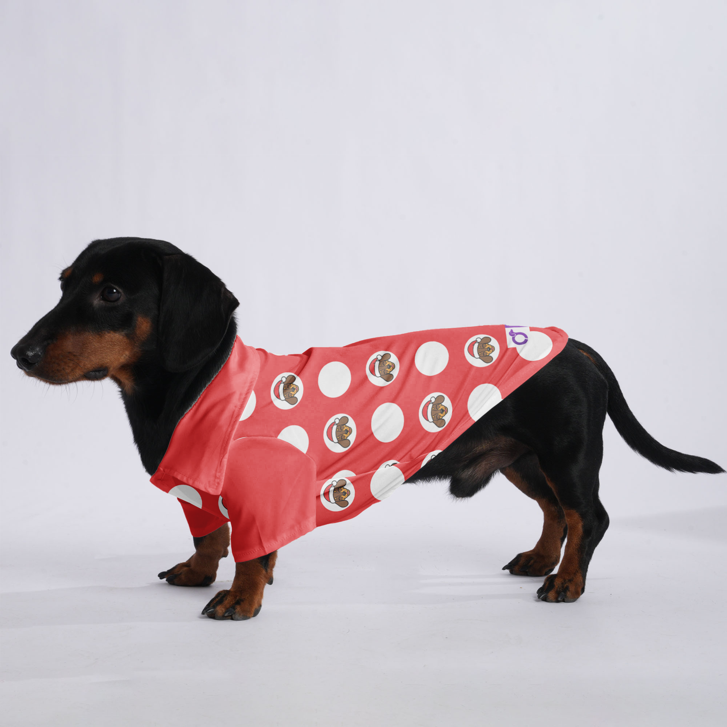 Milo - Hawaiian Shirt for Doxies