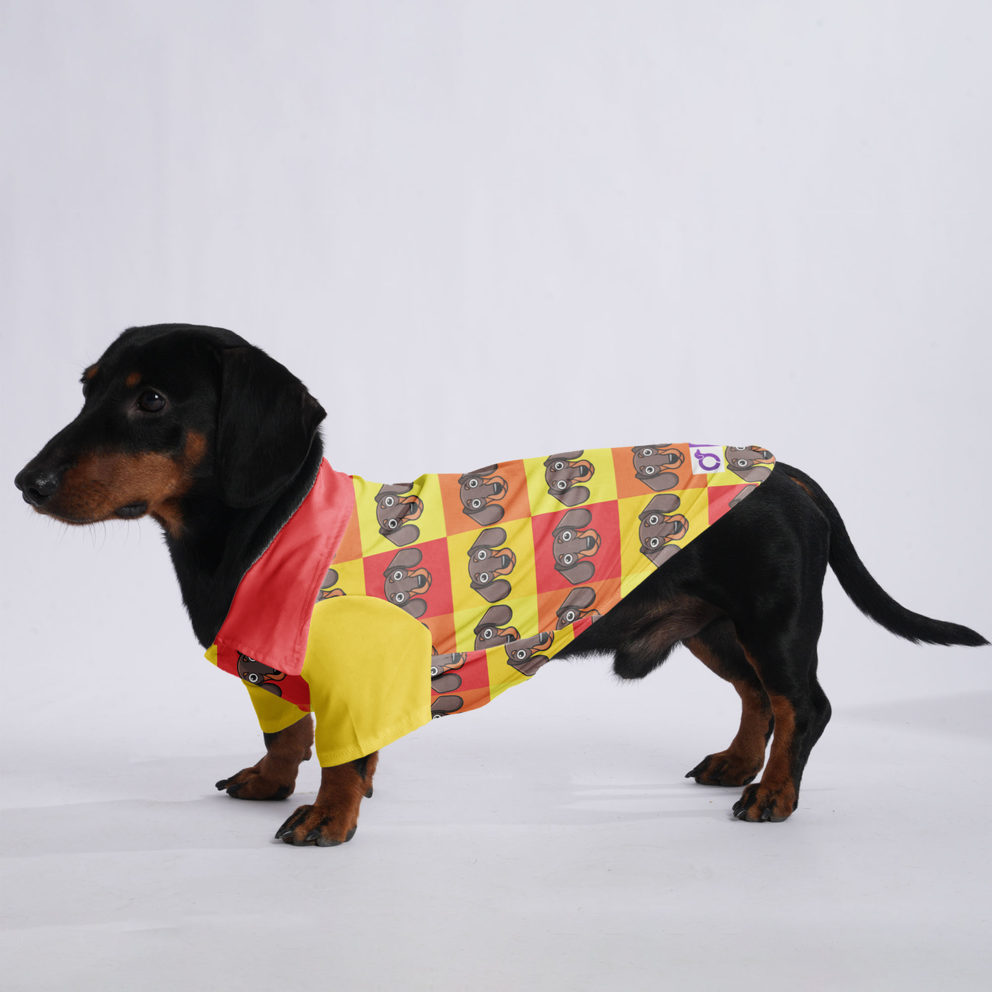 Elton- Hawaiian Shirt for Doxies