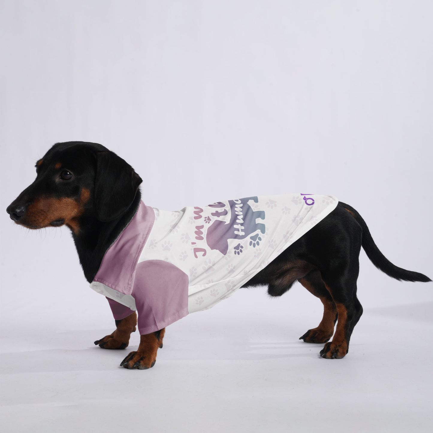 I'm with the human - Hawaiian Shirt for Doxies