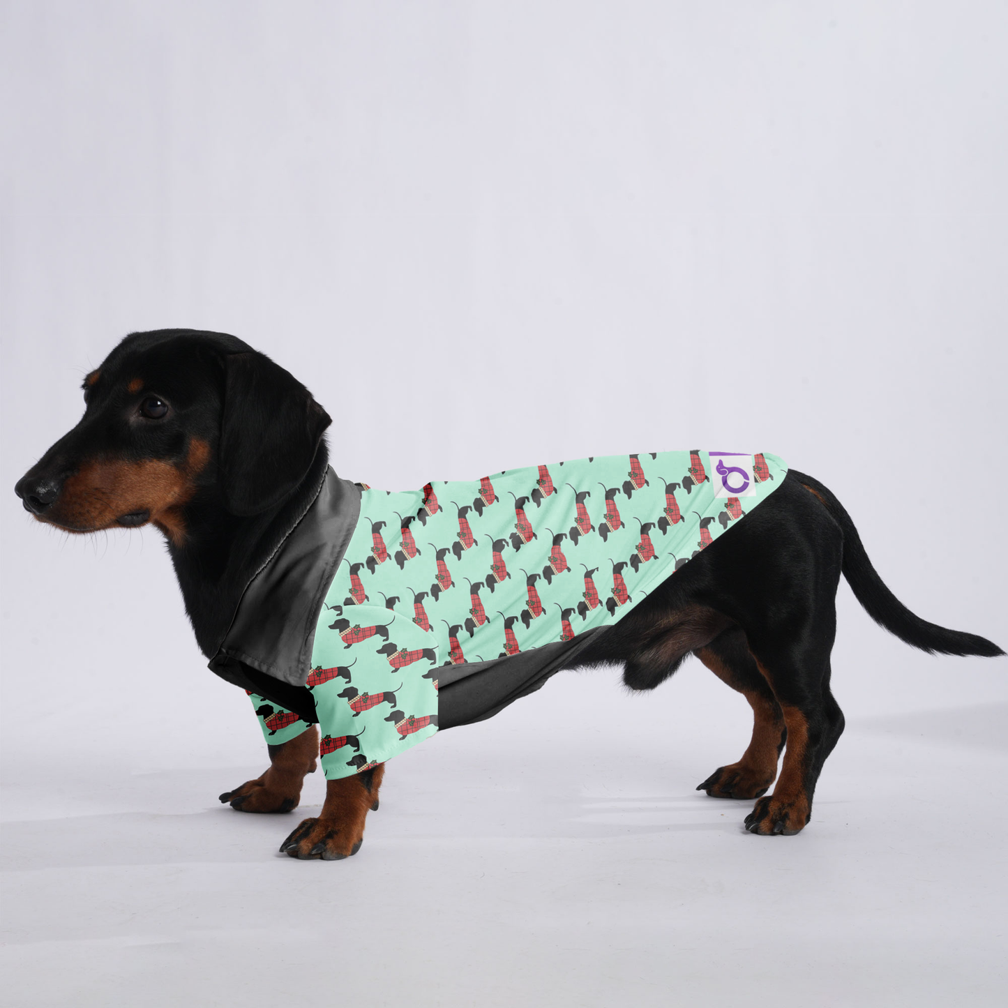 Bella - Hawaiian Shirt for Doxies