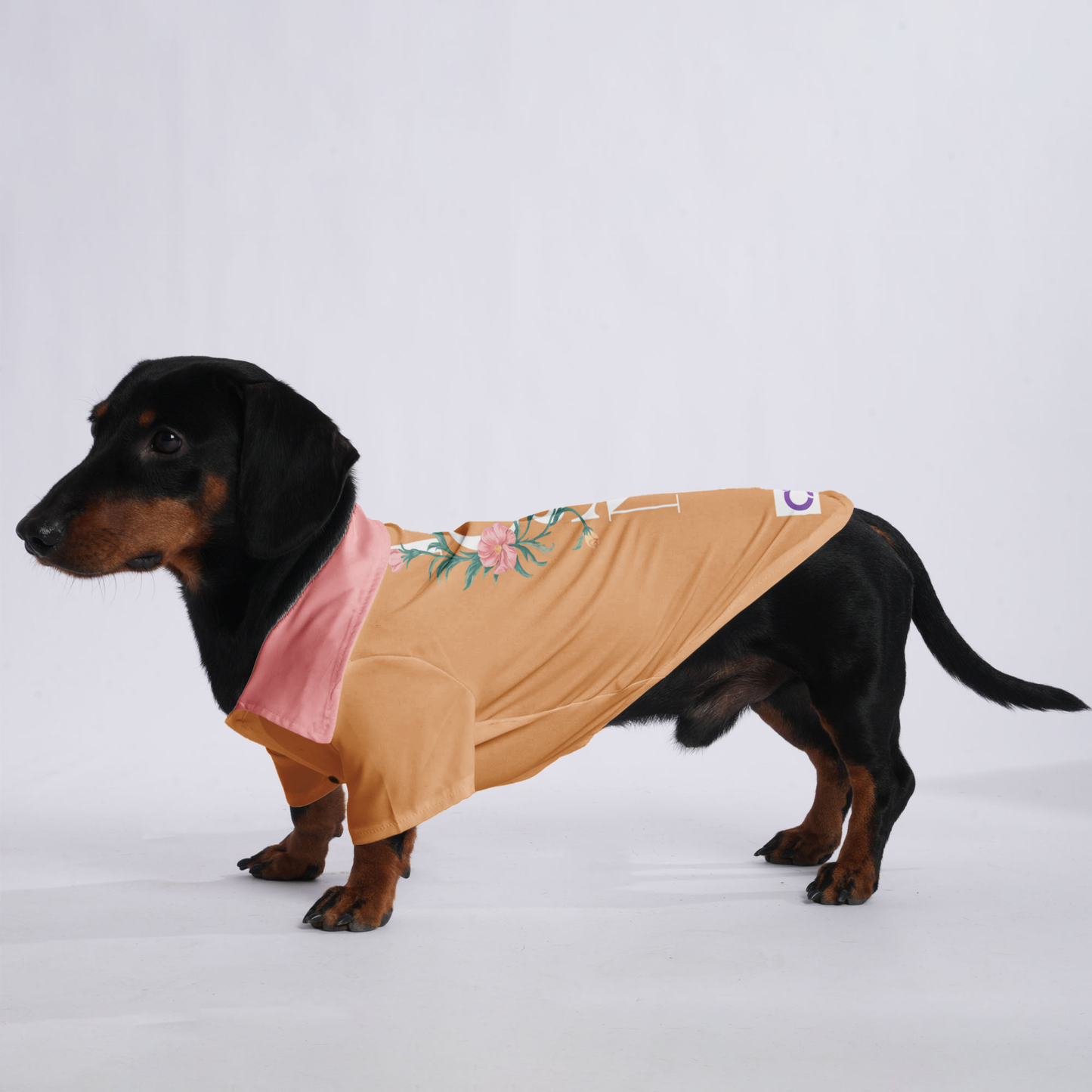 Teddy - Hawaiian Shirt for Doxies