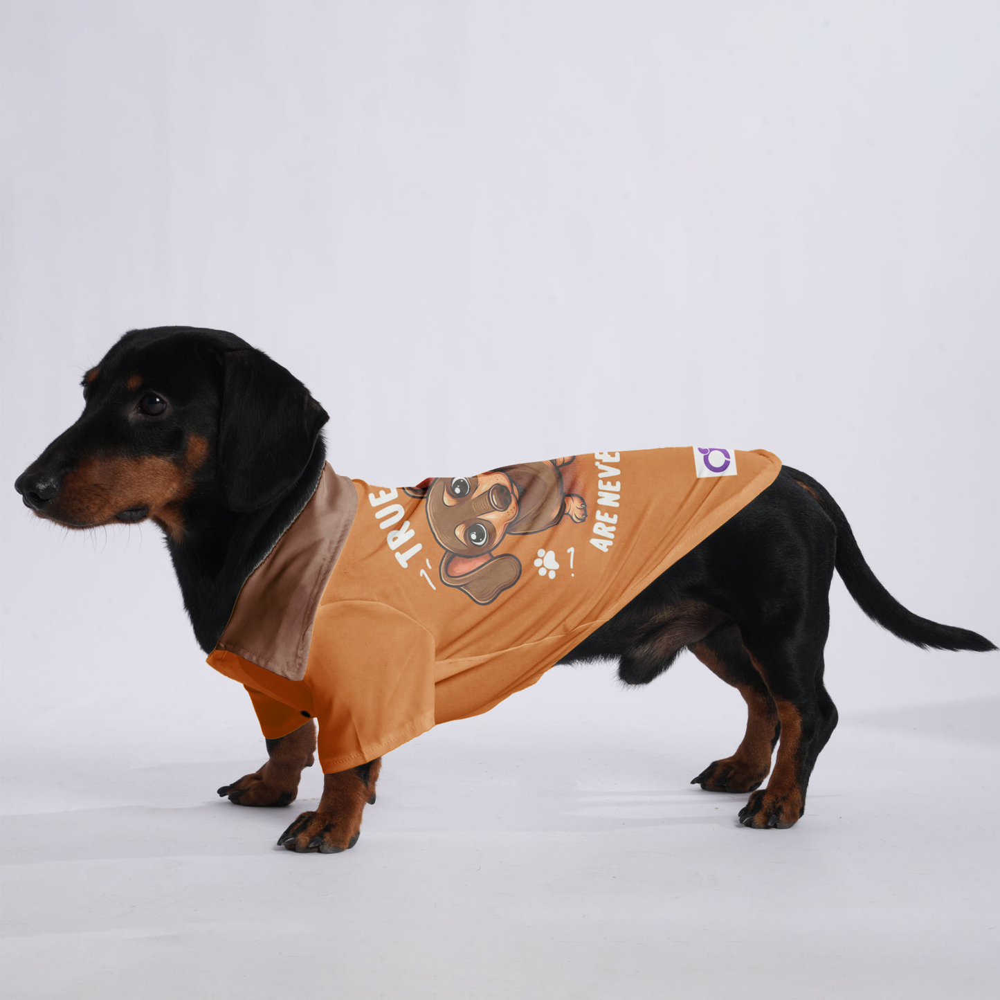 True Friends Are Never Far'T' Apart, - Hawaiian Shirt for Doxies