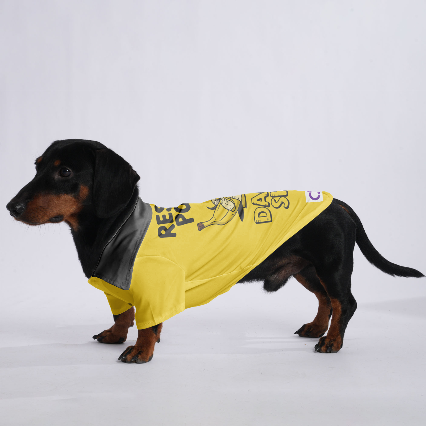 RESPECT, POWER, DACHSHUND - Hawaiian Shirt for Doxies