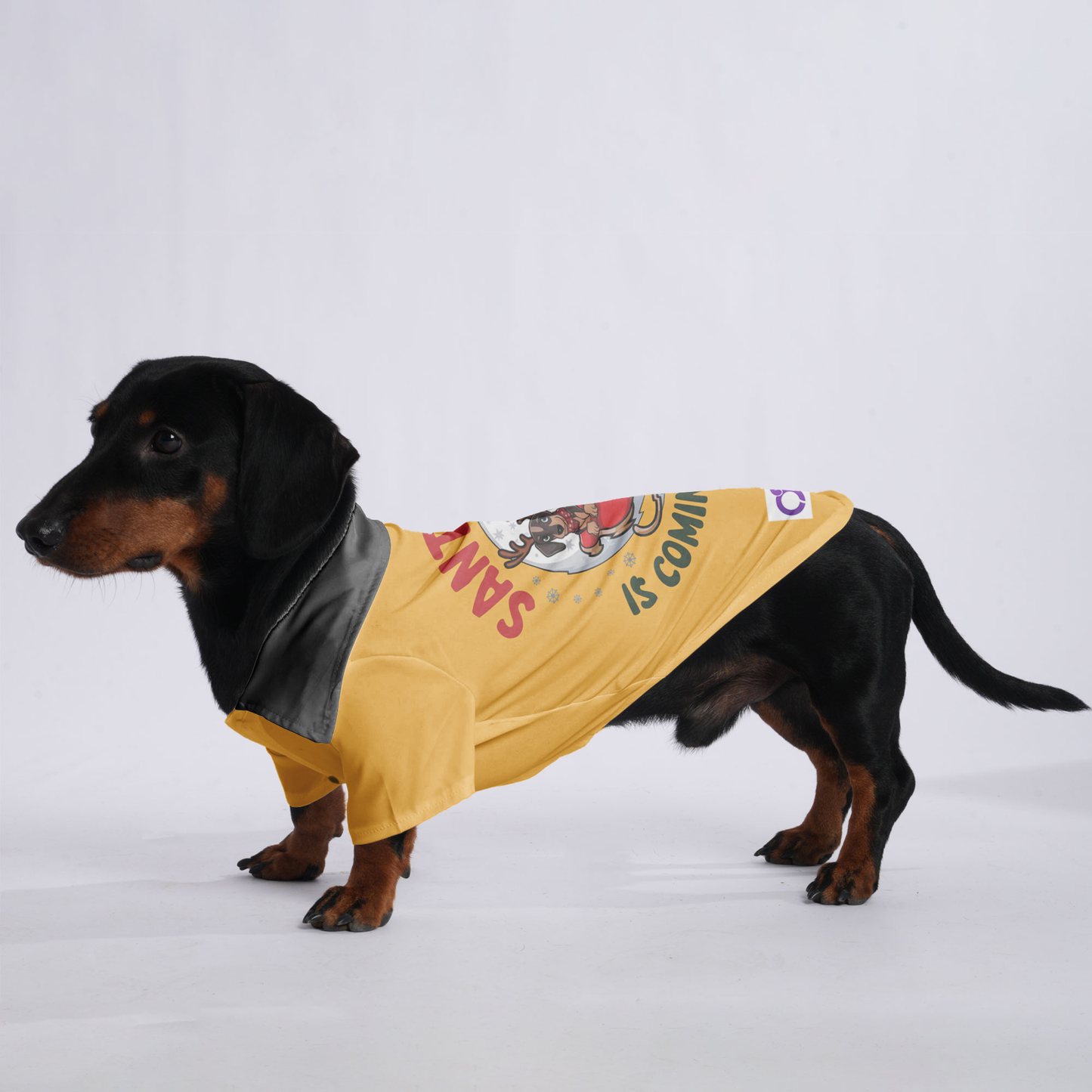 Santa Paws is coming to town - Hawaiian Shirt for Doxies