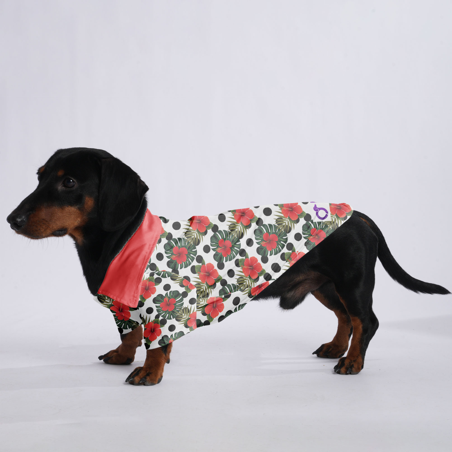 Sophie - Hawaiian Shirt for Doxies