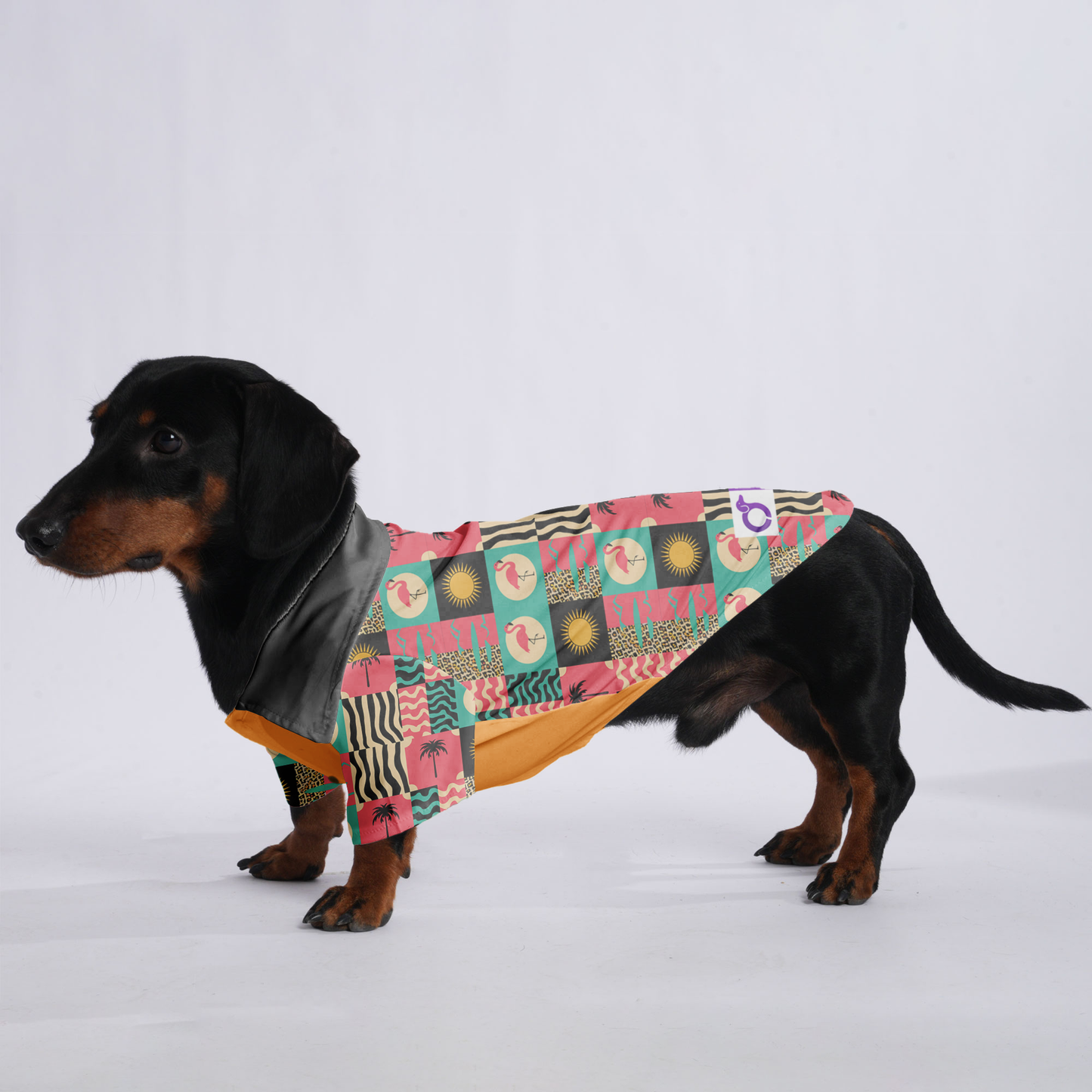 Toby - Hawaiian Shirt for Doxies