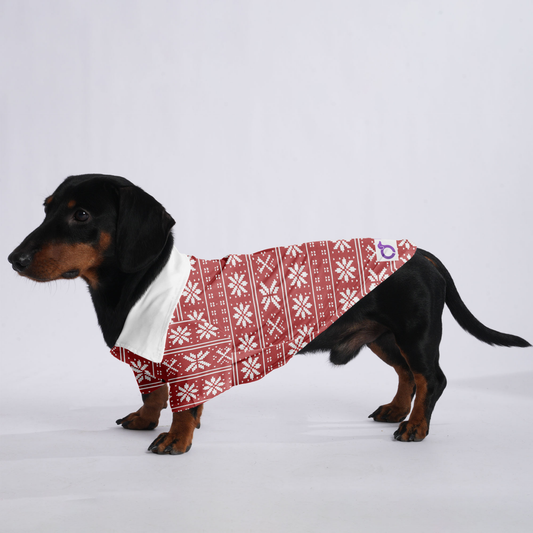 Max - Hawaiian Shirt for Doxies