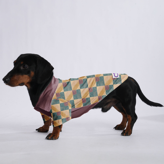 Gracie - Hawaiian Shirt for Doxies