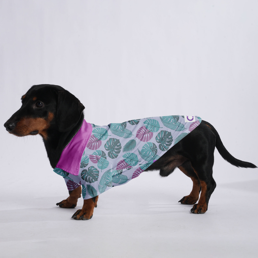 Duke - Hawaiian Shirt for Doxies