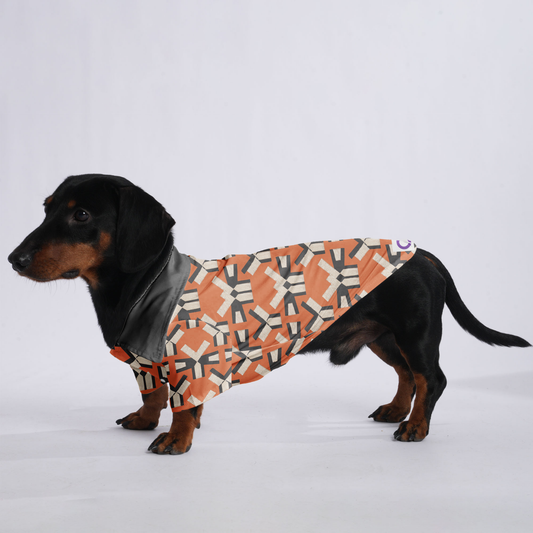 Cookie - Hawaiian Shirt for Doxies