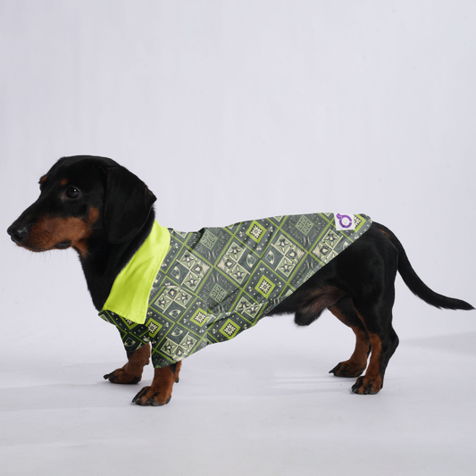 Jack - Hawaiian Shirt for Doxies