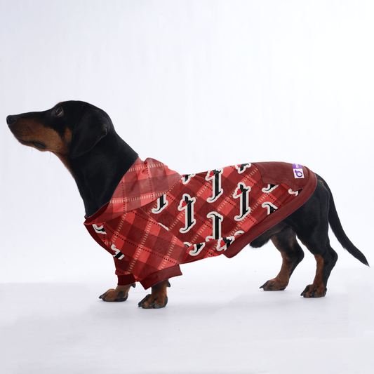 Jesse - Hoodies for Dachshunds