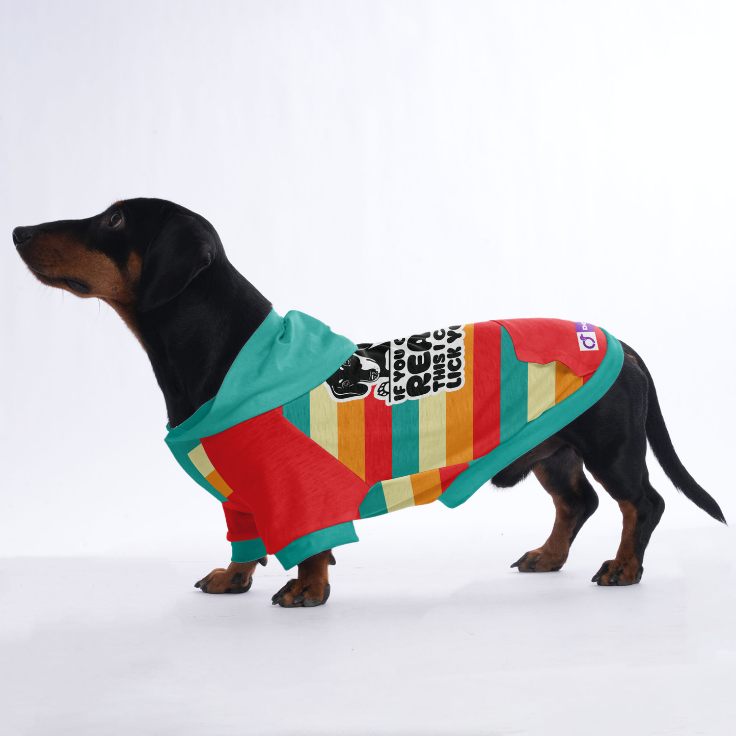 If you can read this , I can lick you - Hoodies for Dachshunds