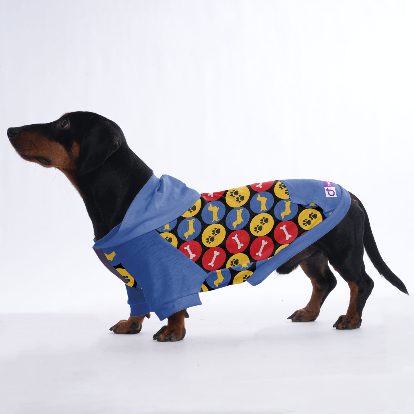 Jimi - Hoodies for Dachshunds