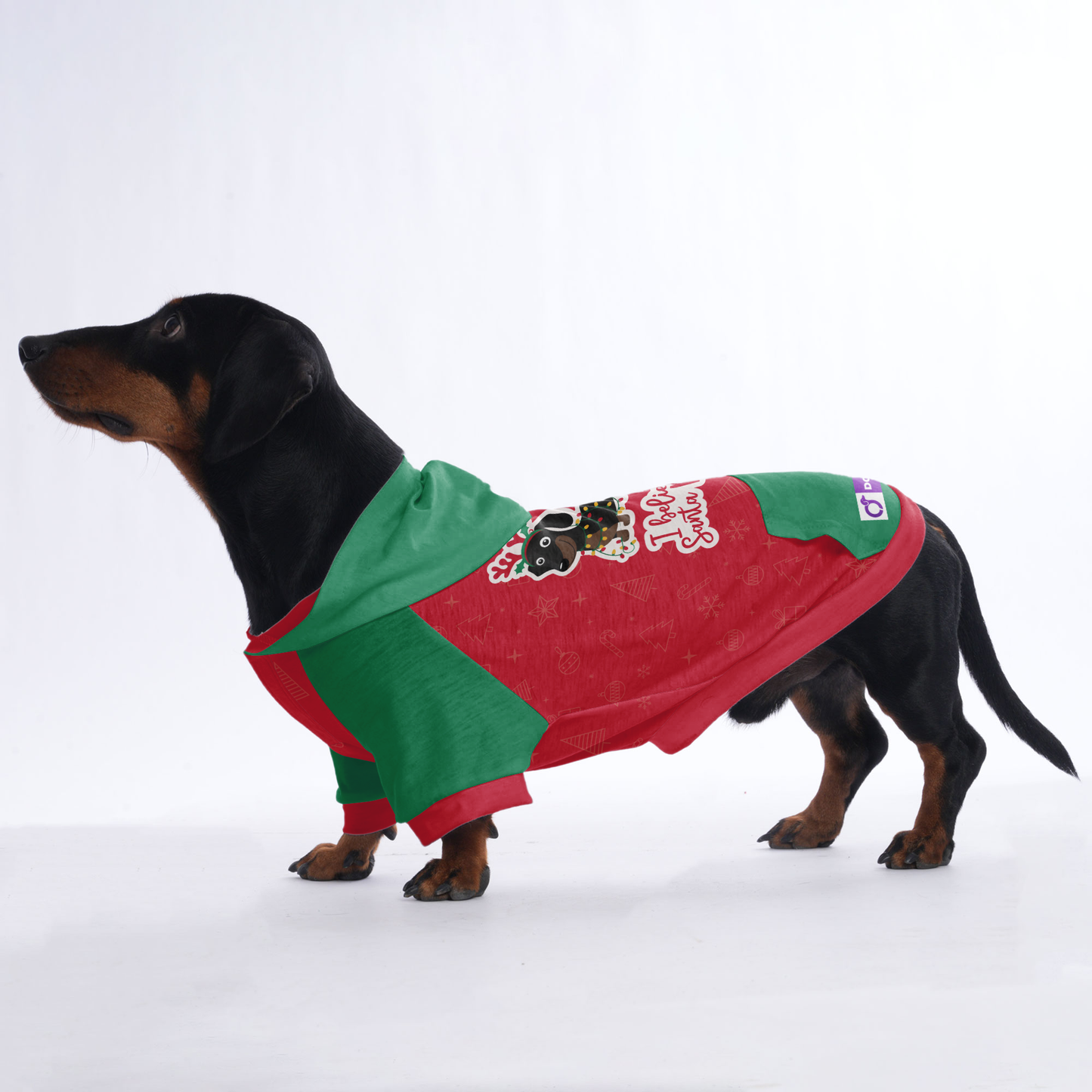 I belive in santa paws - Hoodies for Dachshunds