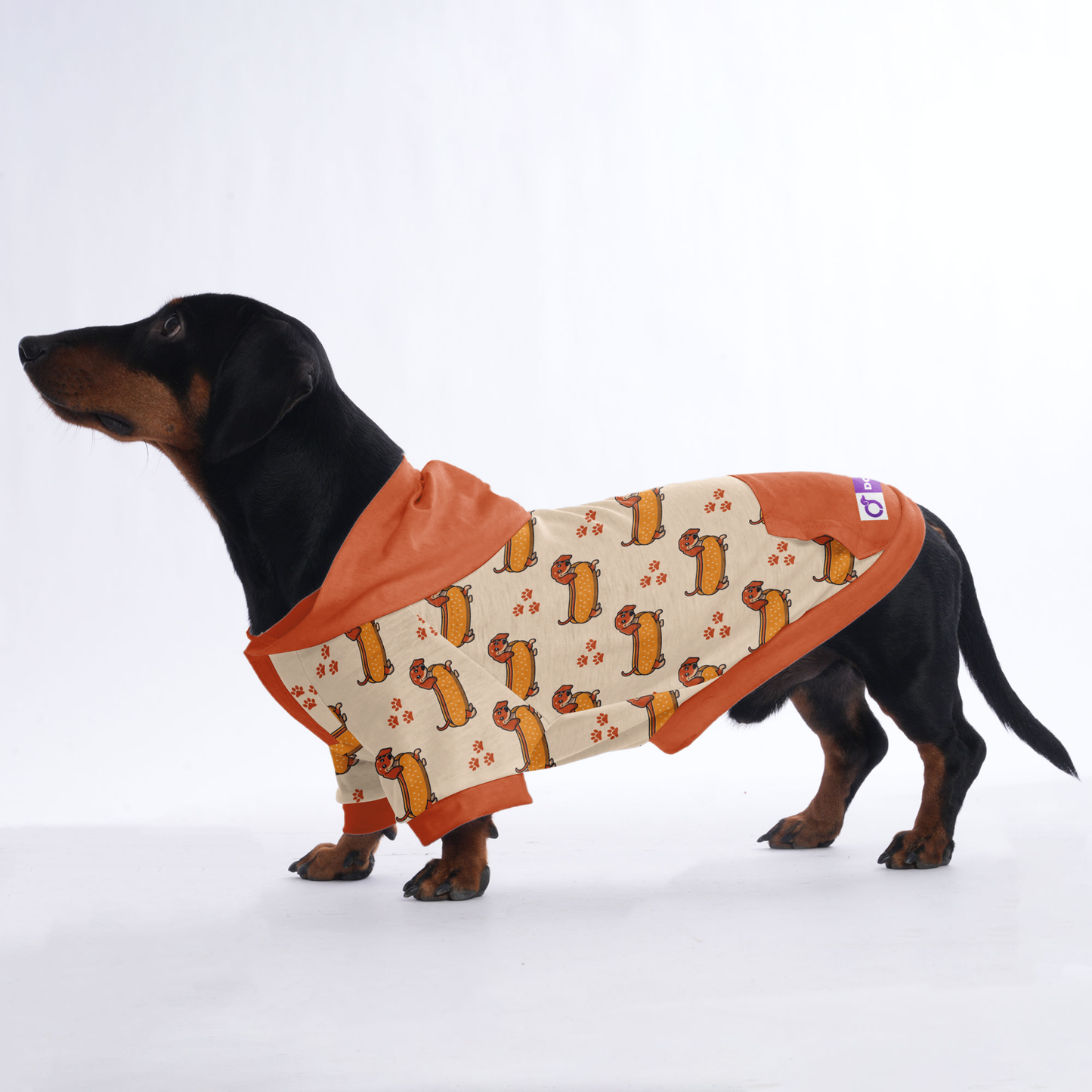 Heidi - Hoodies for Dachshunds