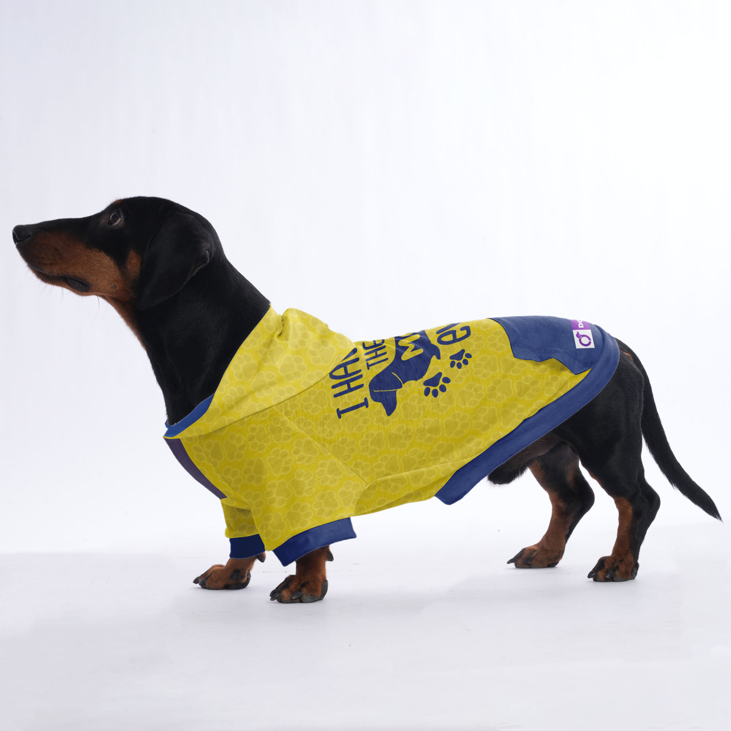 I have the best mom ever - Hoodies for Dachshunds