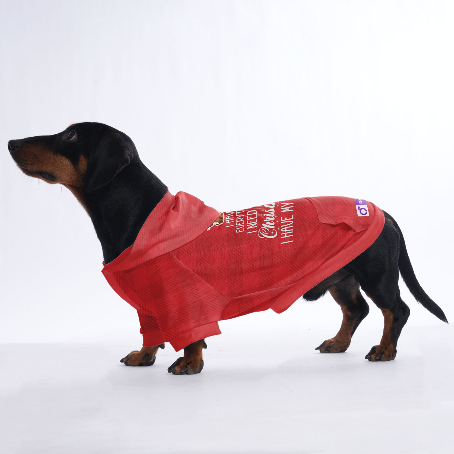 I have everything I need for Christmas. I have my human - Hoodies for Dachshunds