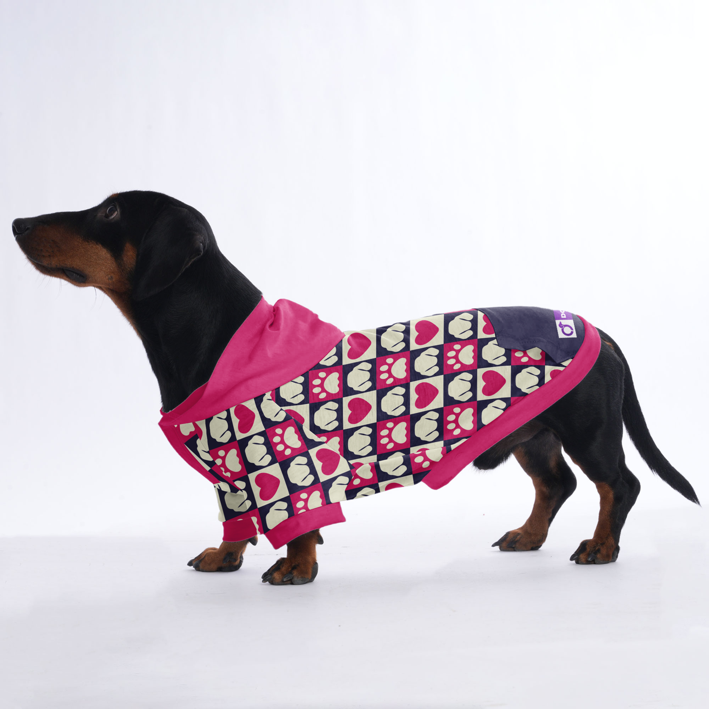 Hugo - Hoodies for Dachshunds