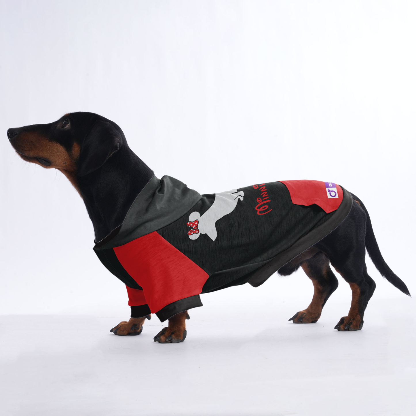 Minnie Doxie - Hoodies for Dachshunds