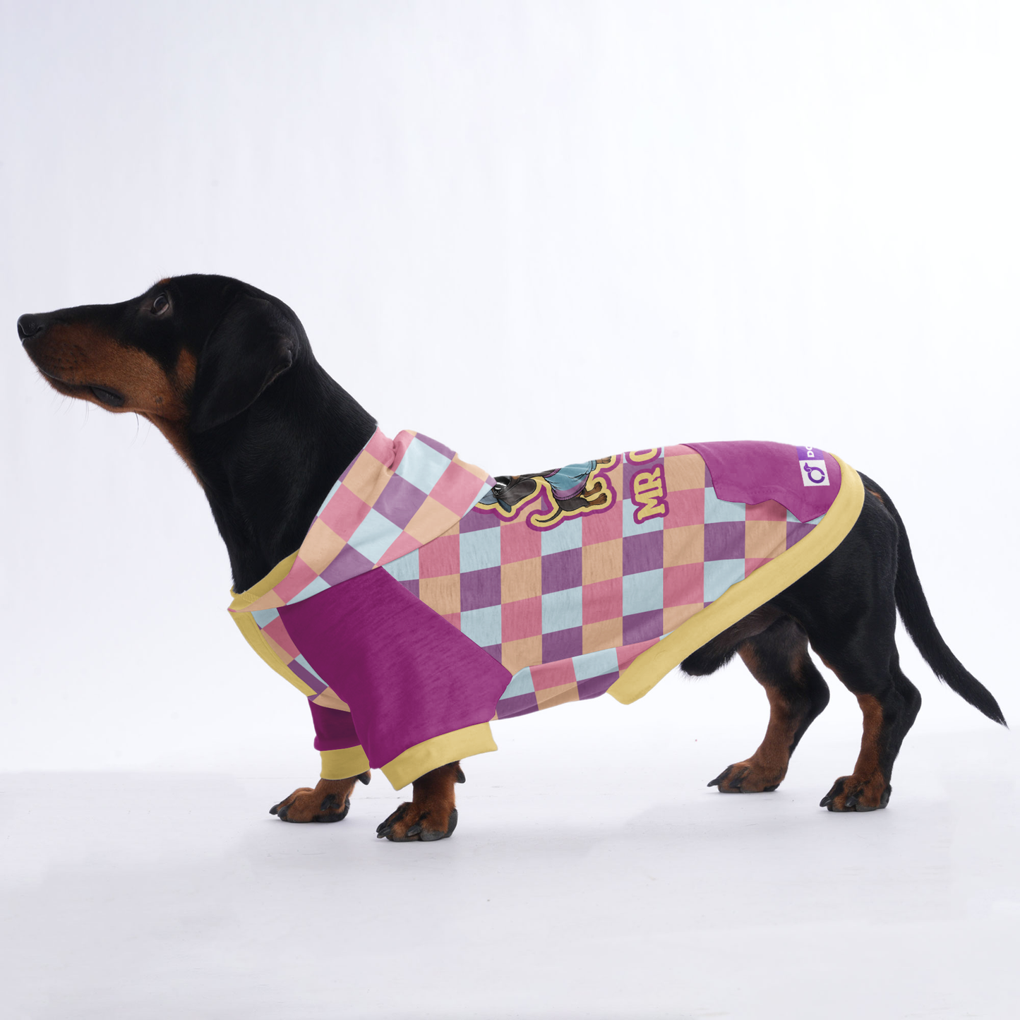 Mr cool - Hoodies for Dachshunds