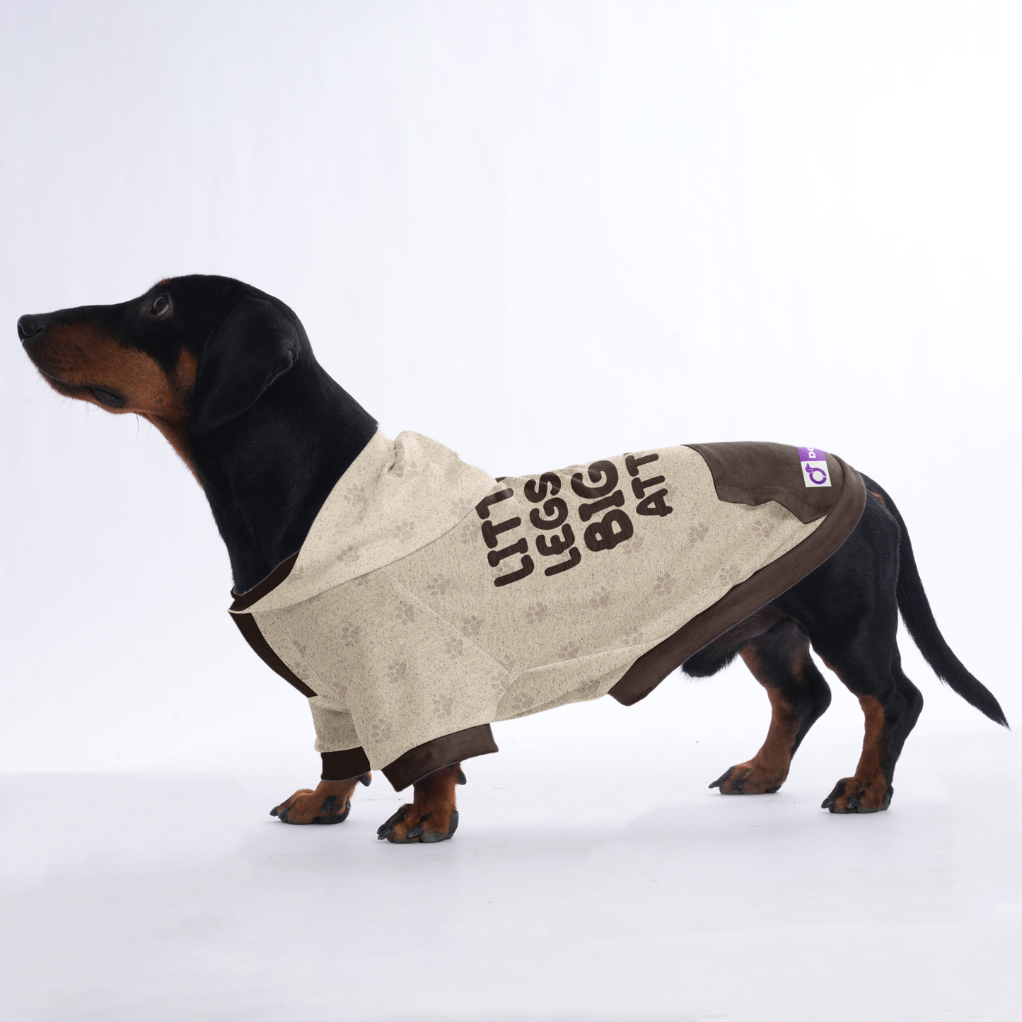 LITTLE LEGS, BIG ATTITUDE  - Hoodies for Dachshunds