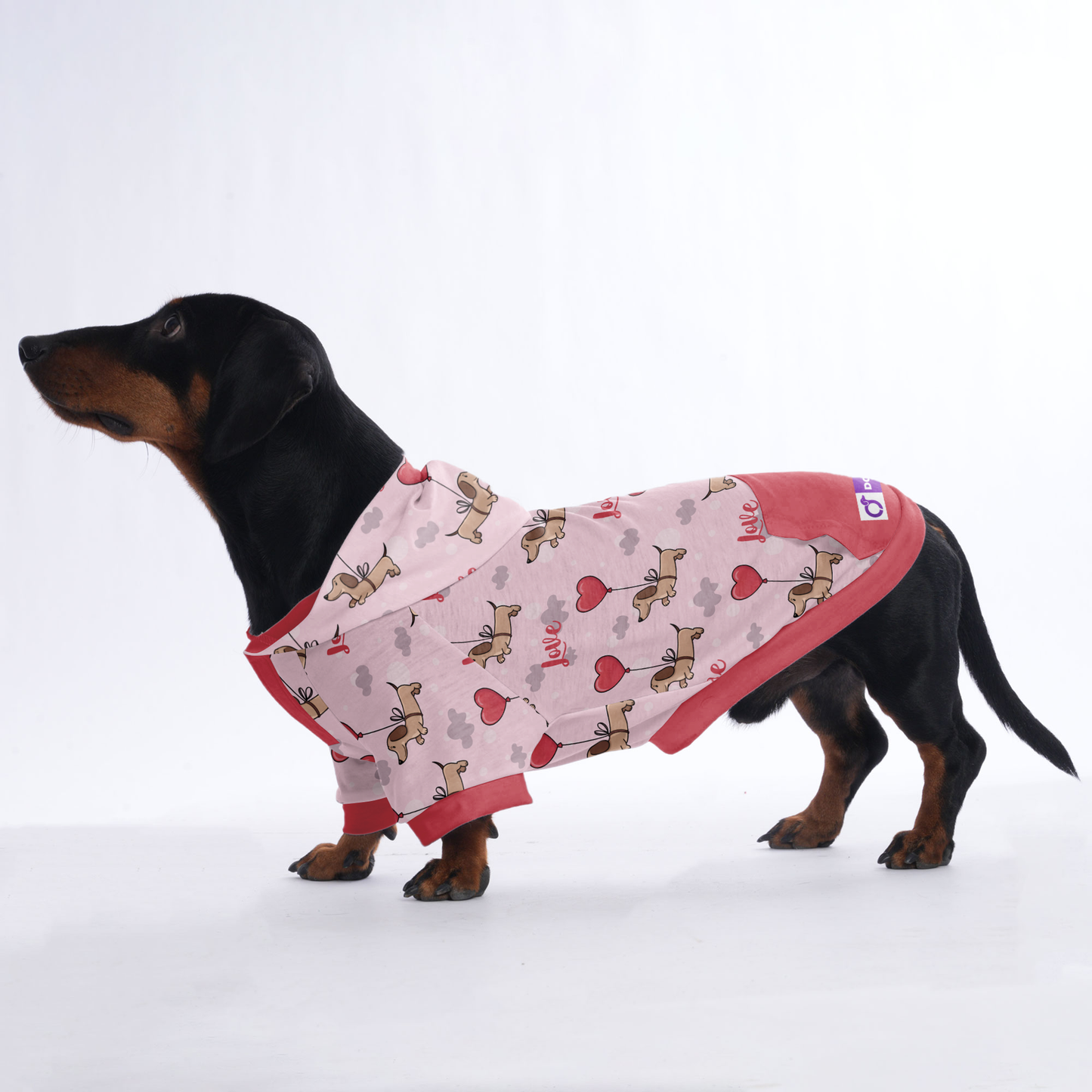 Cinnamon - Hoodies for Dachshunds