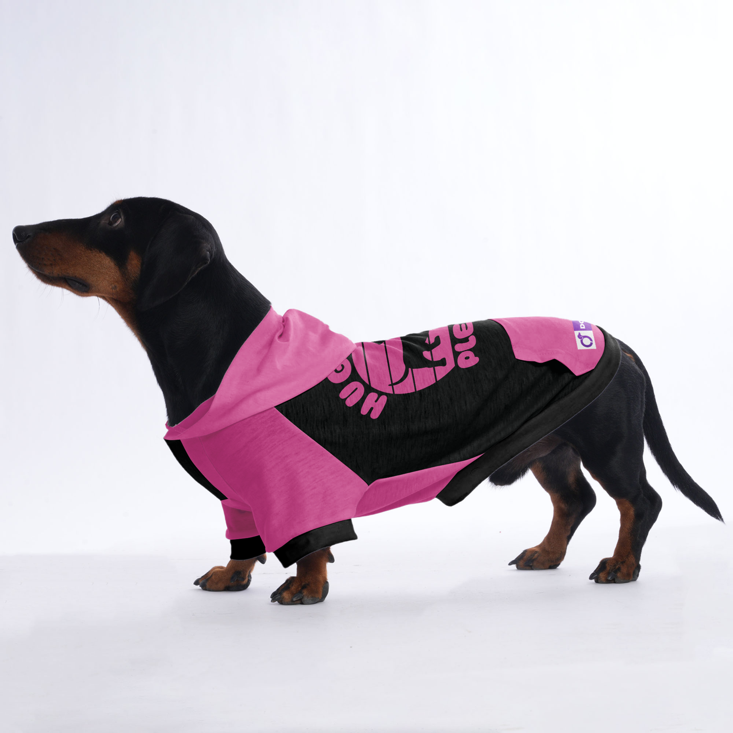 Hug me please - Hoodies for Dachshunds