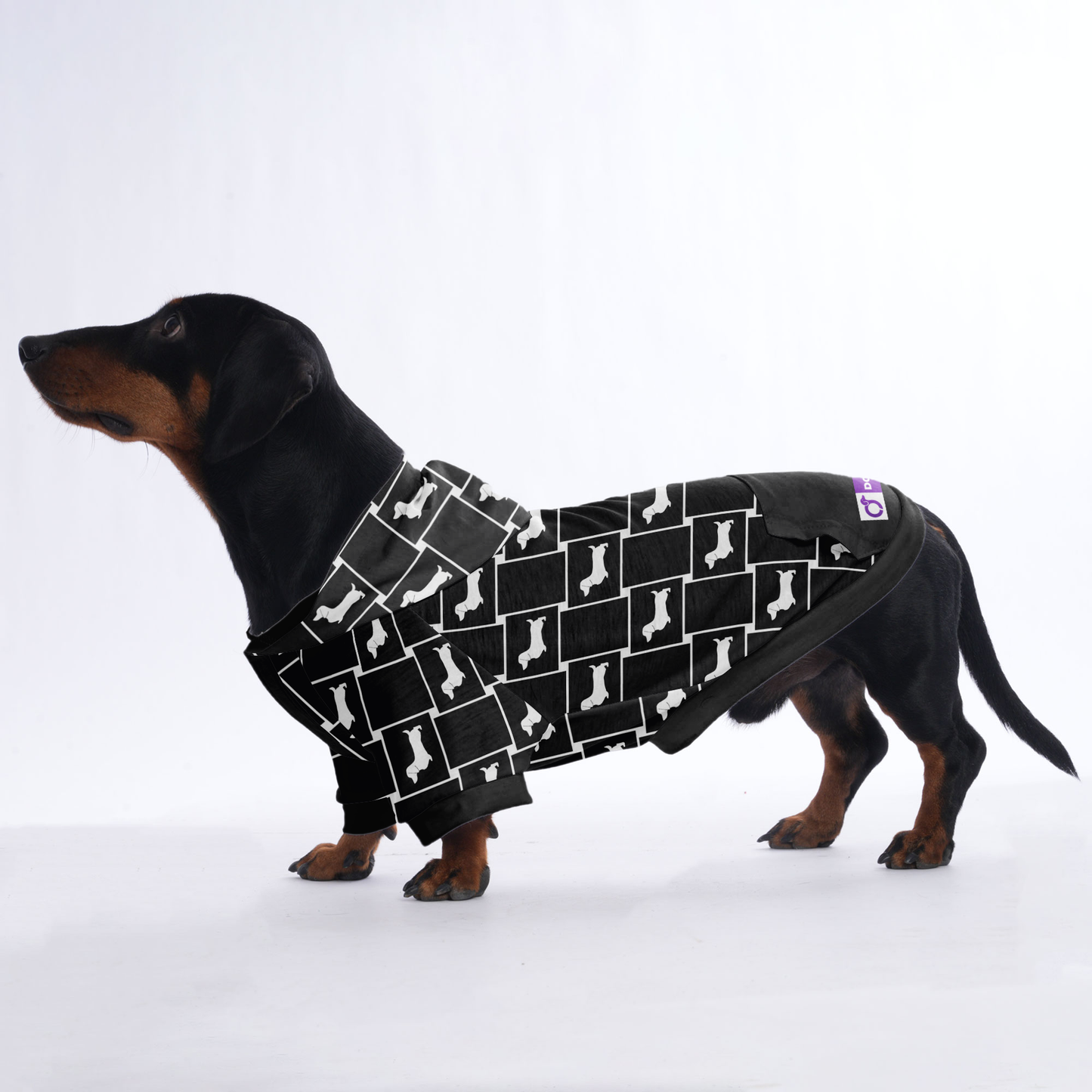 Lotte - Hoodies for Dachshunds