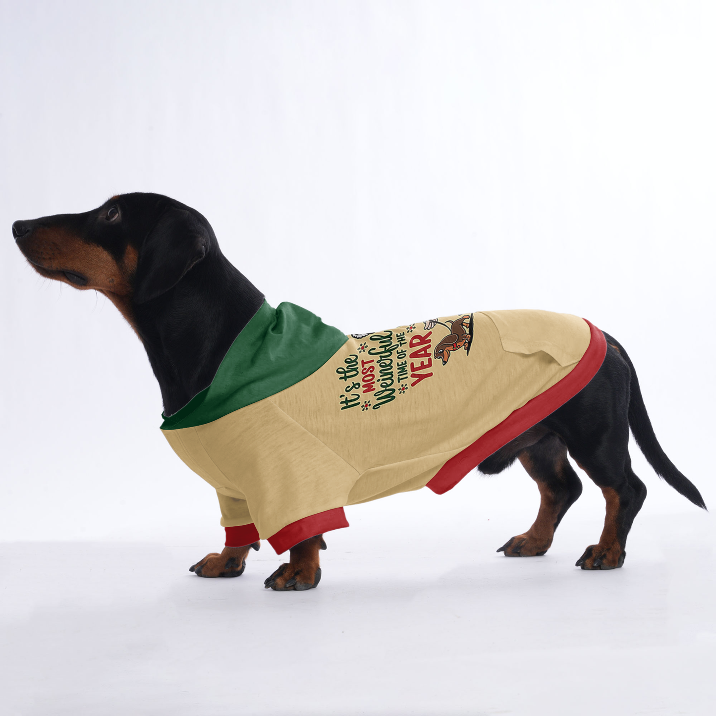 Bella - Hoodies for Dachshunds