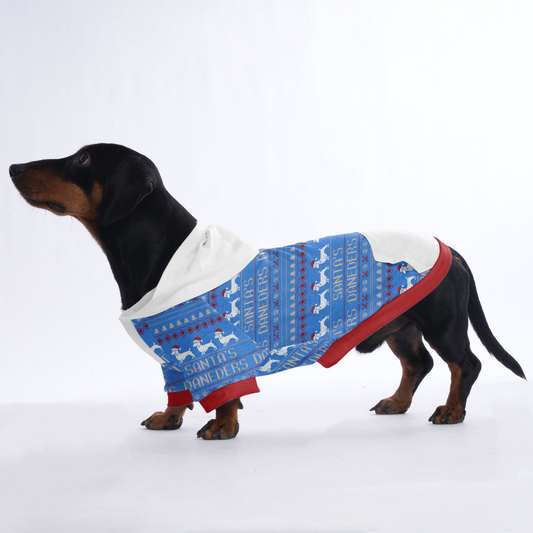 Molly - Hoodies for Dachshunds