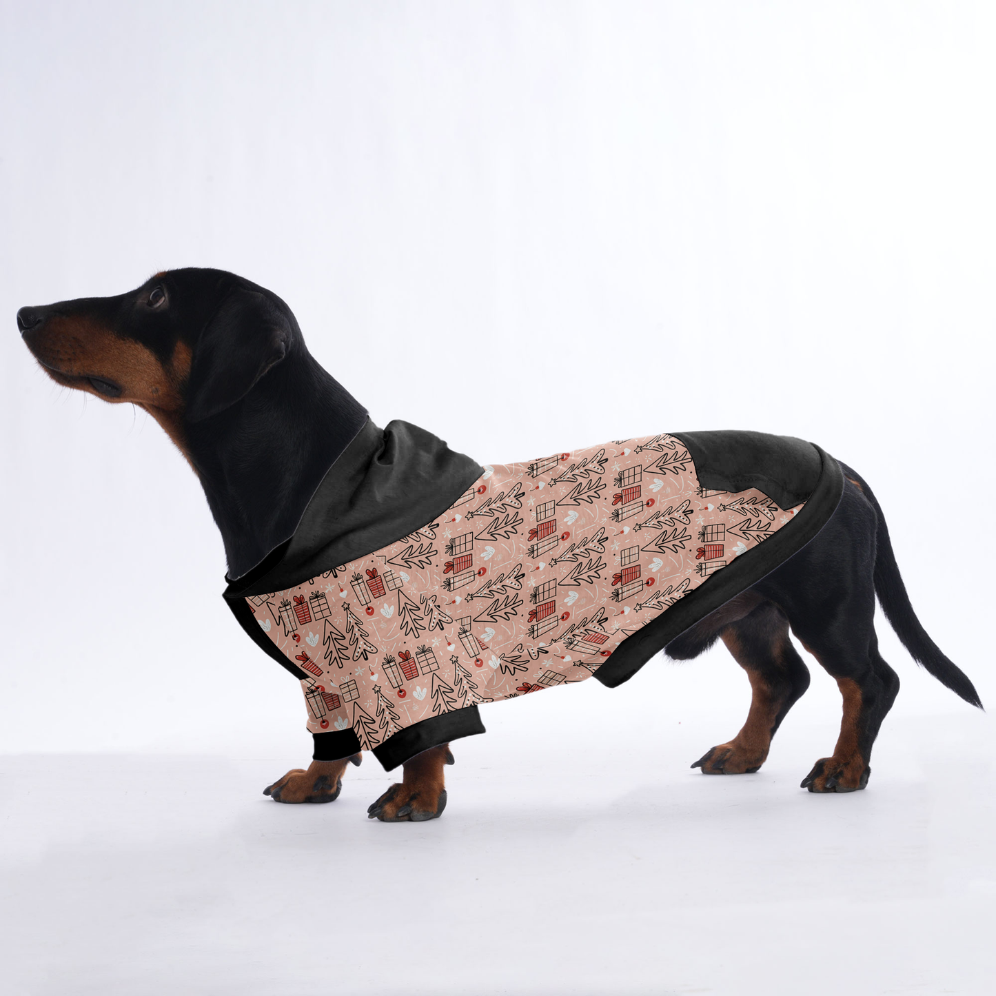 Lola - Hoodies for Dachshunds