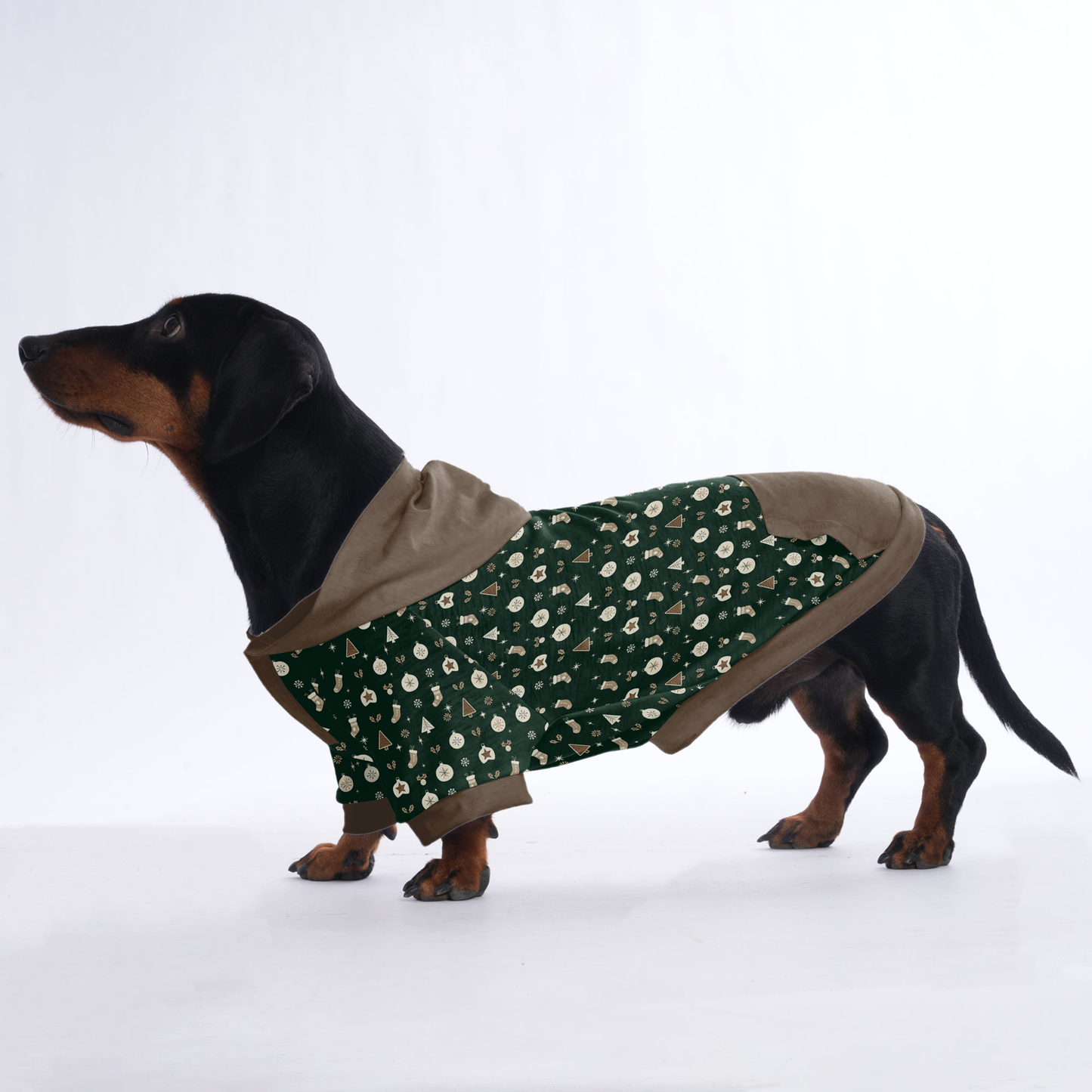 Sadie - Hoodies for Dachshunds