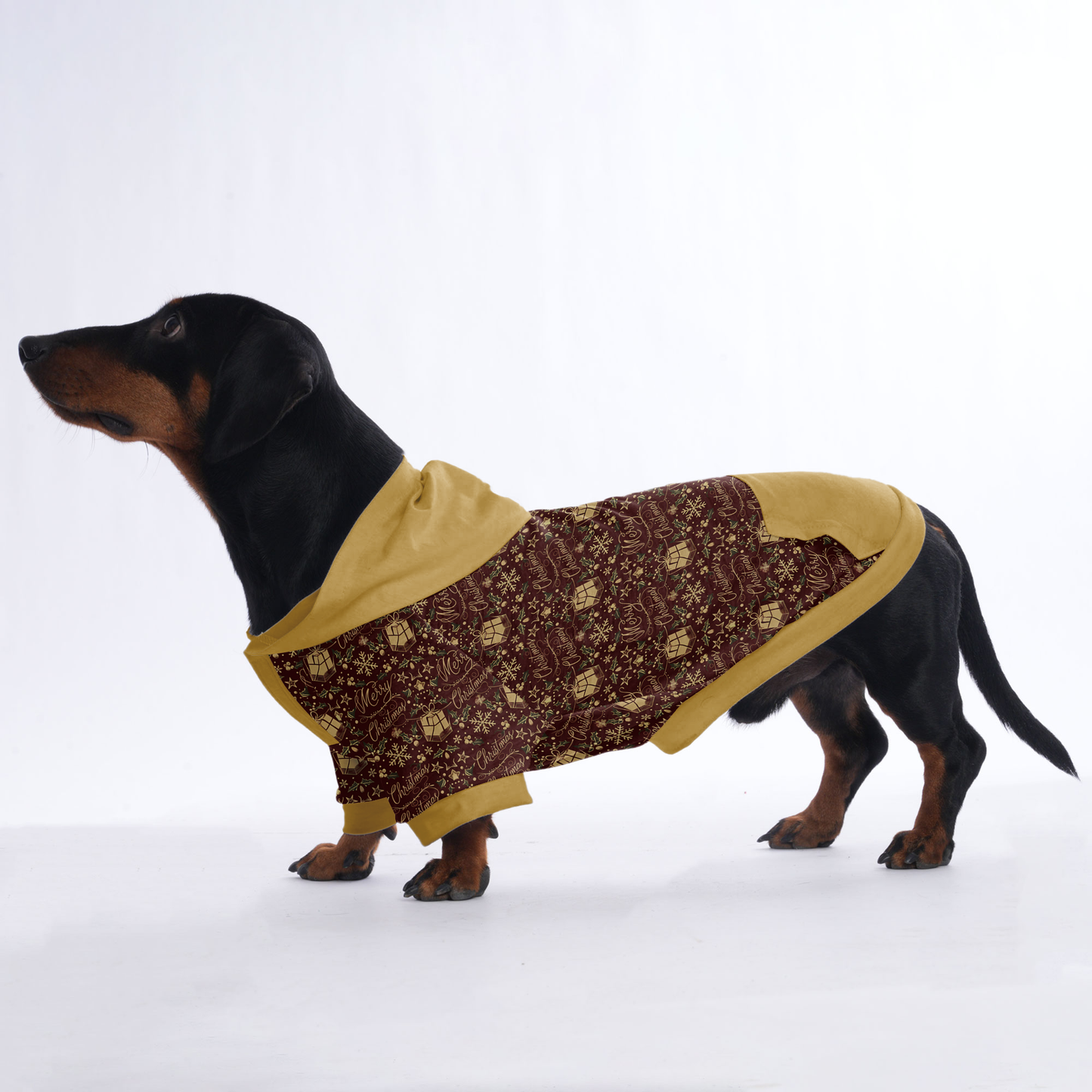 Rocky - Hoodies for Dachshunds