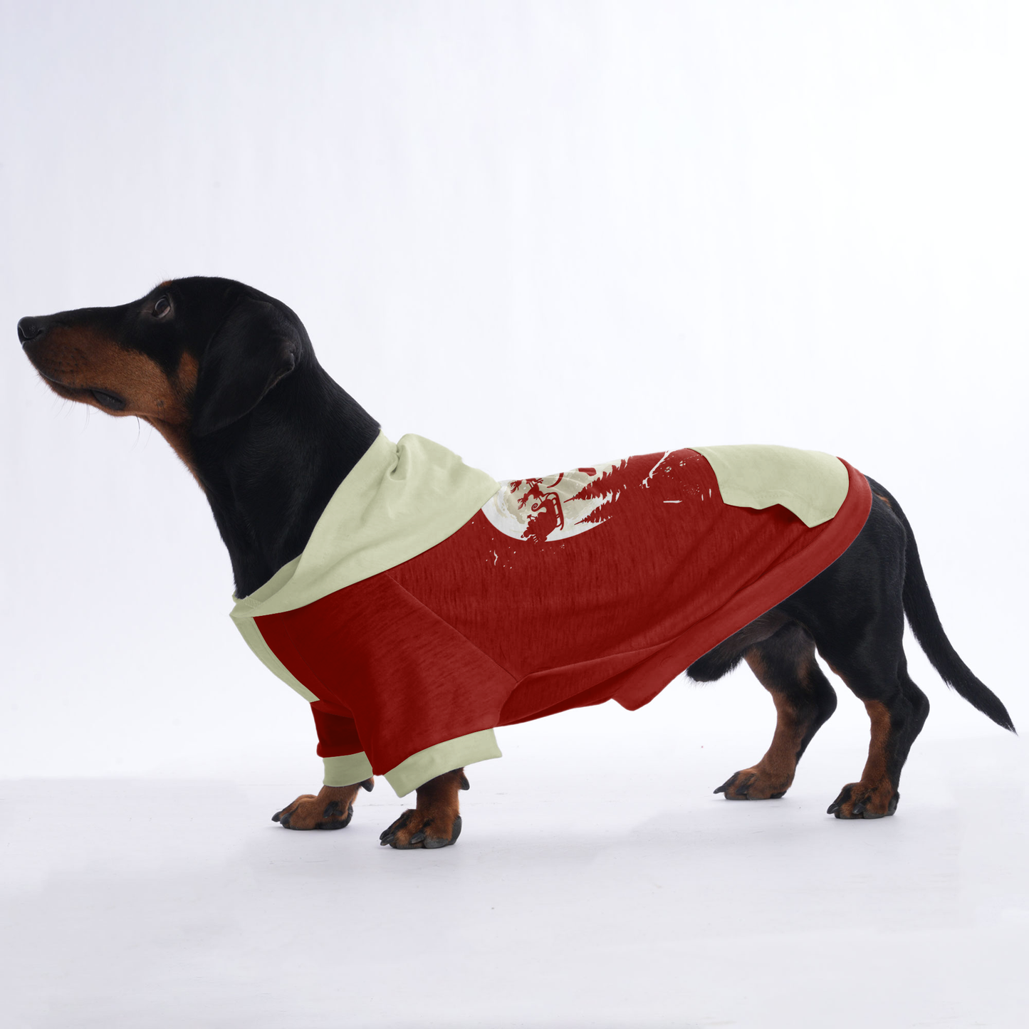 Abby - Hoodies for Dachshunds