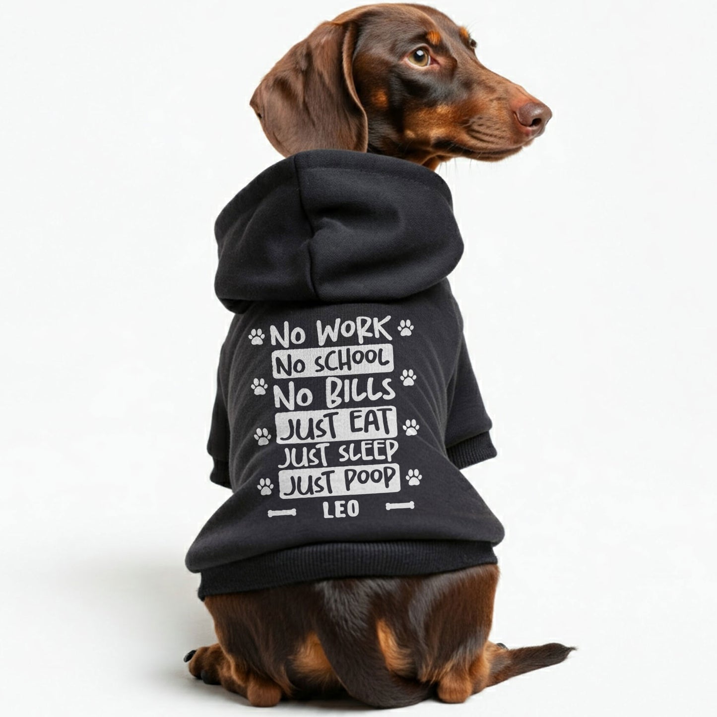 No school - Personalized Dachshund Hoodies with your doxie name – Stylish, Cozy, and Premium 100% Cotton