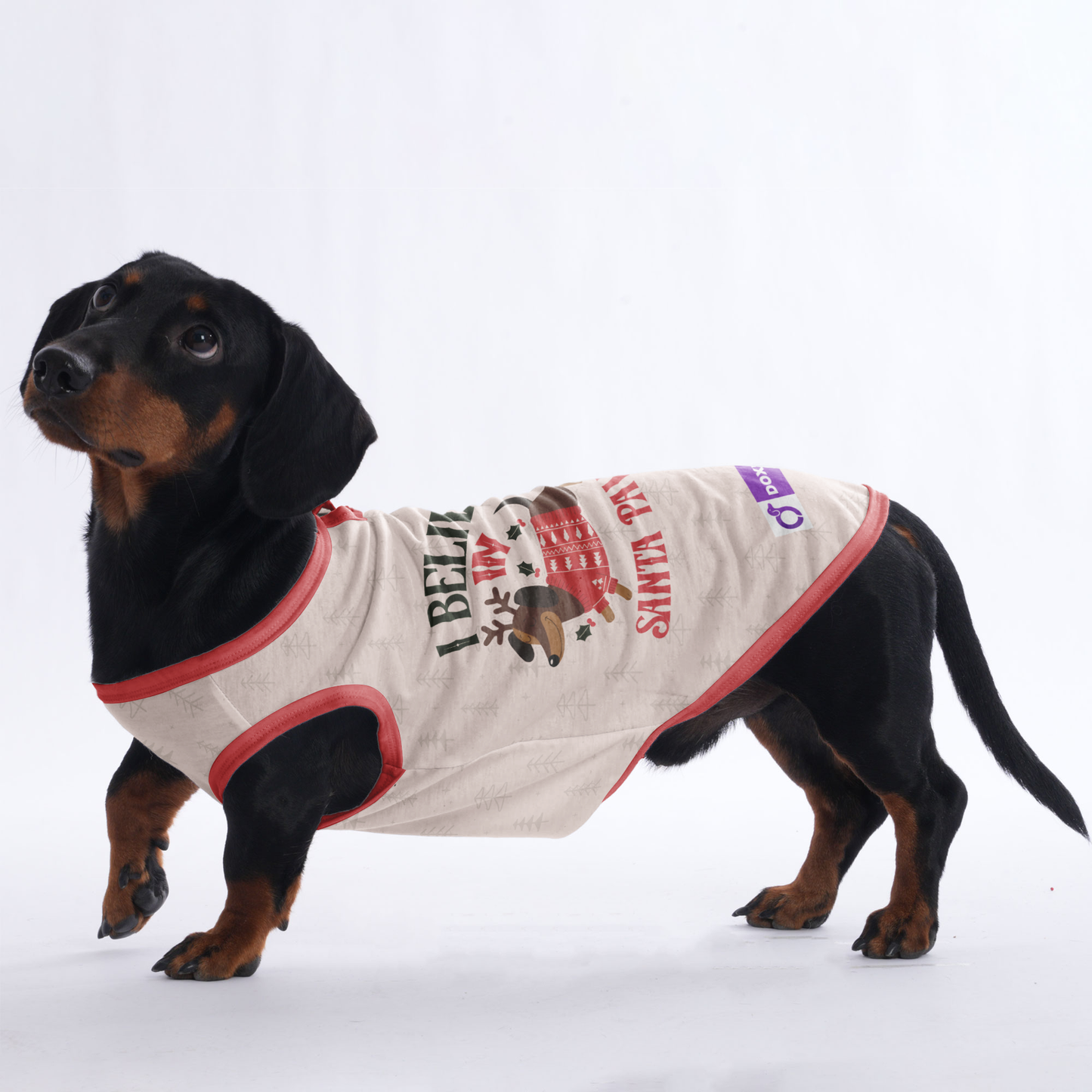 I belive in santa paws -  Shirt for Dachshunds