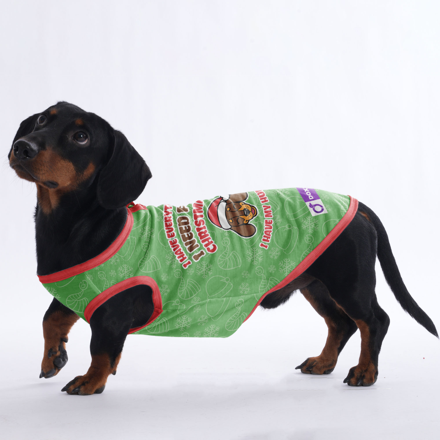 I HAVE EVERYTHING I NEED FOR CHRISTMAS, I HAVE MY HUMAN -  Shirt for Dachshunds